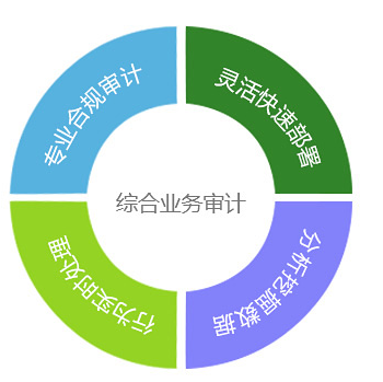 终端应用审计平台堡垒机